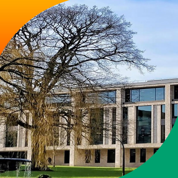 BAME lived experience research debrief